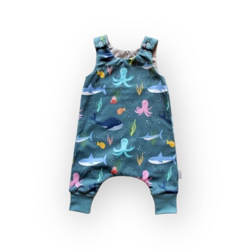 Pikk romper, mereelukad